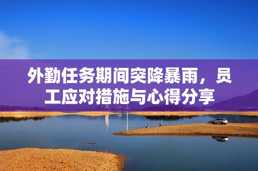 外勤任务期间突降暴雨，员工应对措施与心得分享