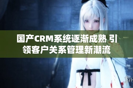 国产CRM系统逐渐成熟 引领客户关系管理新潮流