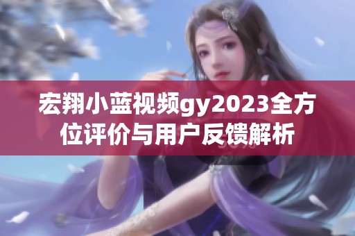 宏翔小蓝视频gy2023全方位评价与用户反馈解析