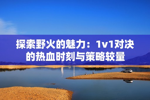 探索野火的魅力：1v1对决的热血时刻与策略较量