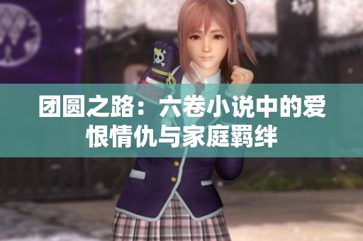 团圆之路：六卷小说中的爱恨情仇与家庭羁绊