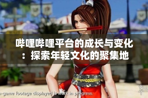 哔哩哔哩平台的成长与变化：探索年轻文化的聚集地