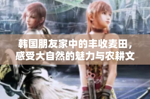 韩国朋友家中的丰收麦田，感受大自然的魅力与农耕文化