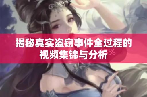 揭秘真实盗窃事件全过程的视频集锦与分析