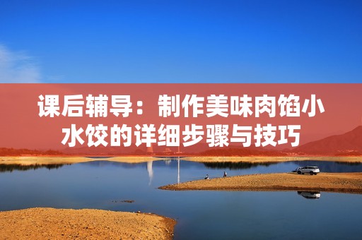 课后辅导：制作美味肉馅小水饺的详细步骤与技巧