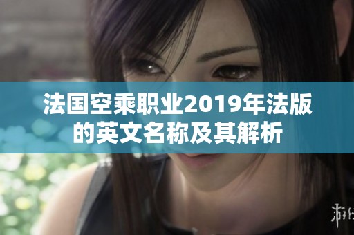 法国空乘职业2019年法版的英文名称及其解析