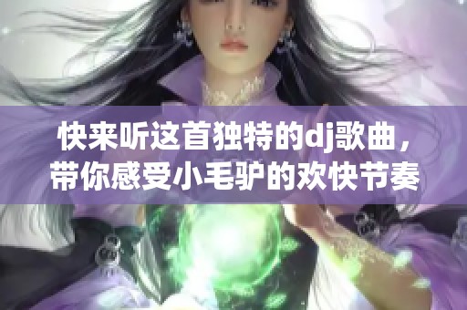 快来听这首独特的dj歌曲，带你感受小毛驴的欢快节奏！