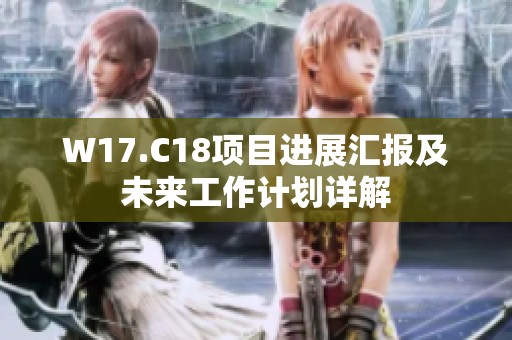 W17.C18项目进展汇报及未来工作计划详解