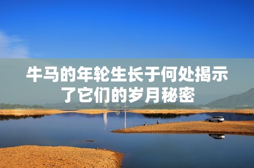 牛马的年轮生长于何处揭示了它们的岁月秘密