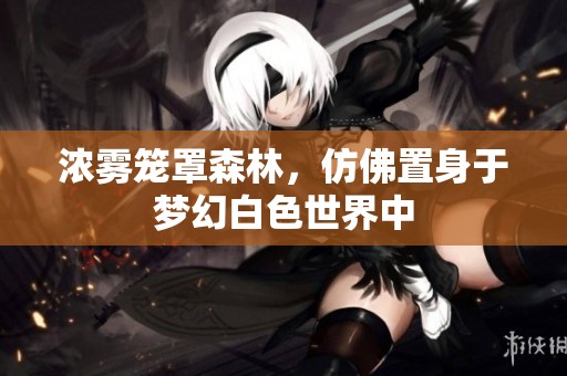 浓雾笼罩森林，仿佛置身于梦幻白色世界中