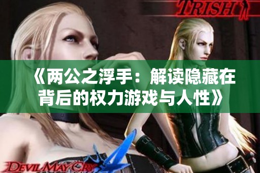 《两公之浮手：解读隐藏在背后的权力游戏与人性》