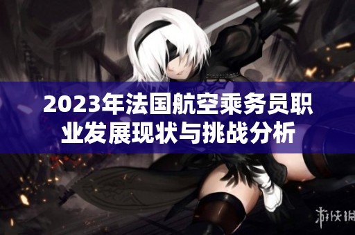 2023年法国航空乘务员职业发展现状与挑战分析