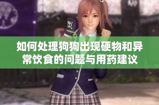如何处理狗狗出现硬物和异常饮食的问题与用药建议