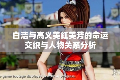 白洁与高义美红美芳的命运交织与人物关系分析