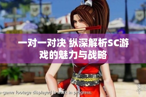 一对一对决 纵深解析SC游戏的魅力与战略