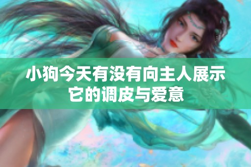 小狗今天有没有向主人展示它的调皮与爱意