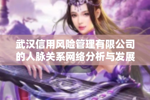 武汉信用风险管理有限公司的人脉关系网络分析与发展潜力探讨