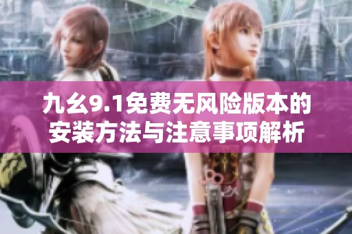 九幺9.1免费无风险版本的安装方法与注意事项解析