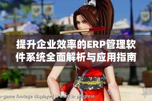 提升企业效率的ERP管理软件系统全面解析与应用指南