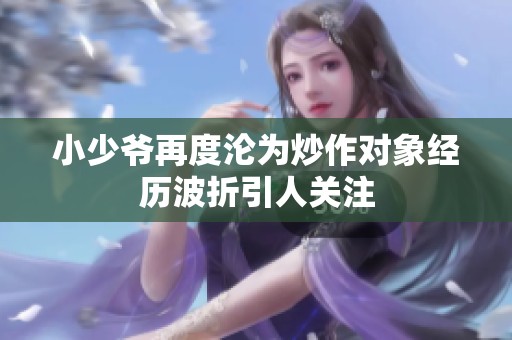 小少爷再度沦为炒作对象经历波折引人关注