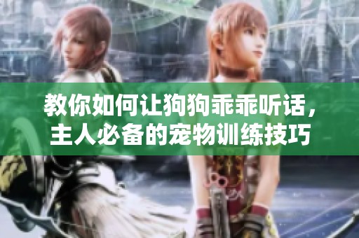 教你如何让狗狗乖乖听话，主人必备的宠物训练技巧