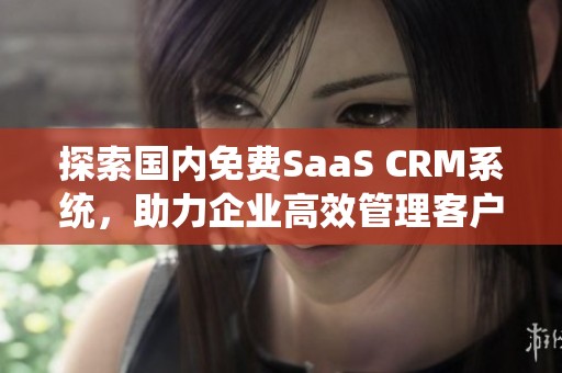 探索国内免费SaaS CRM系统，助力企业高效管理客户关系