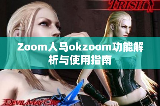 Zoom人马okzoom功能解析与使用指南