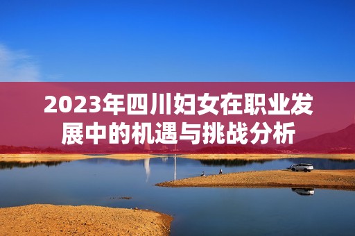 2023年四川妇女在职业发展中的机遇与挑战分析