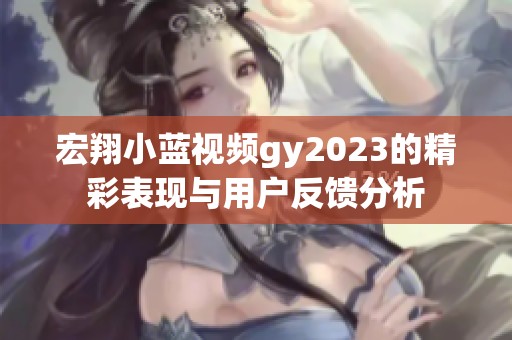 宏翔小蓝视频gy2023的精彩表现与用户反馈分析