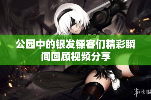 公园中的银发镖客们精彩瞬间回顾视频分享