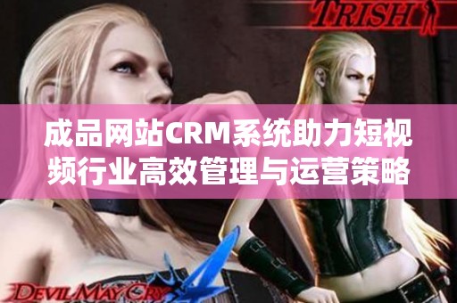 成品网站CRM系统助力短视频行业高效管理与运营策略