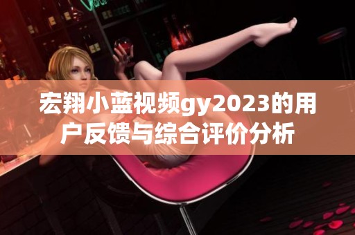 宏翔小蓝视频gy2023的用户反馈与综合评价分析