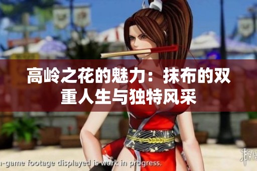 高岭之花的魅力：抹布的双重人生与独特风采