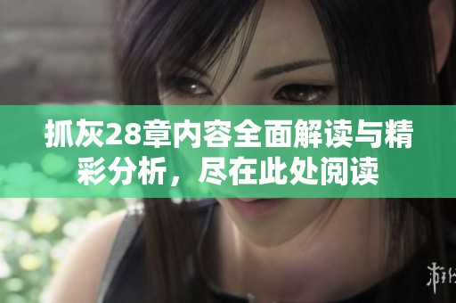 抓灰28章内容全面解读与精彩分析，尽在此处阅读