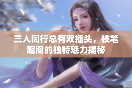 三人同行总有双插头，枝笔趣阁的独特魅力揭秘