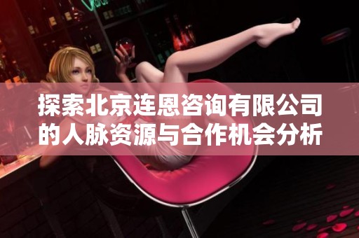 探索北京连恩咨询有限公司的人脉资源与合作机会分析