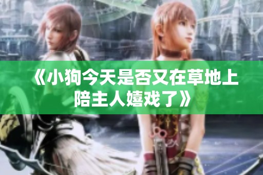 《小狗今天是否又在草地上陪主人嬉戏了》