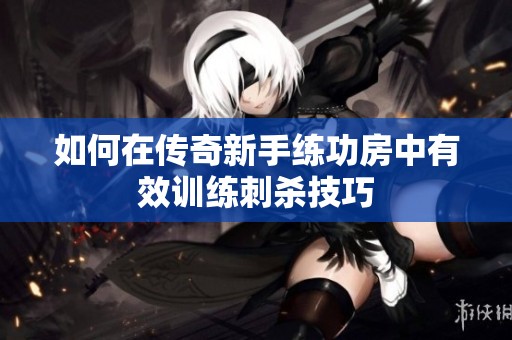 如何在传奇新手练功房中有效训练刺杀技巧
