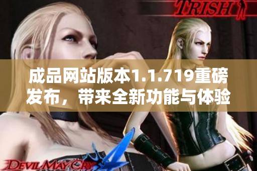 成品网站版本1.1.719重磅发布，带来全新功能与体验