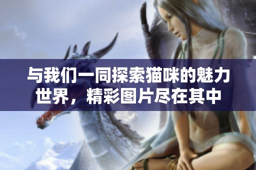 与我们一同探索猫咪的魅力世界，精彩图片尽在其中
