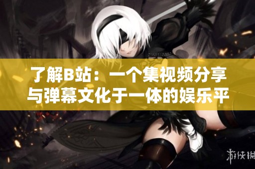 了解B站：一个集视频分享与弹幕文化于一体的娱乐平台