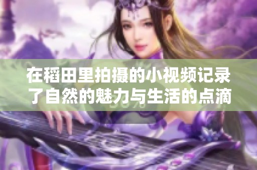 在稻田里拍摄的小视频记录了自然的魅力与生活的点滴