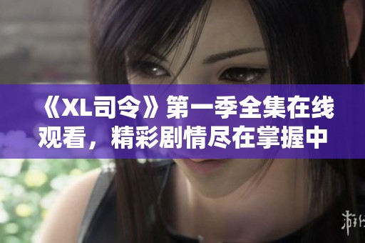 《XL司令》第一季全集在线观看，精彩剧情尽在掌握中