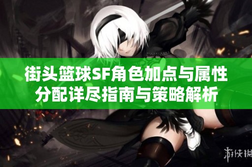 街头篮球SF角色加点与属性分配详尽指南与策略解析