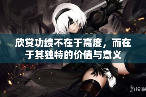 欣赏功绩不在于高度，而在于其独特的价值与意义