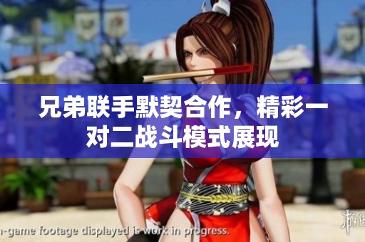 兄弟联手默契合作，精彩一对二战斗模式展现