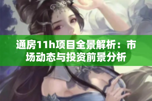 通房11h项目全景解析：市场动态与投资前景分析