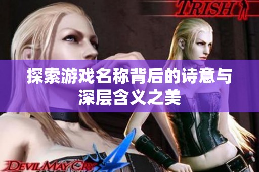探索游戏名称背后的诗意与深层含义之美