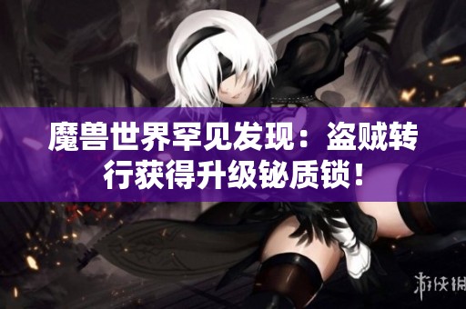 魔兽世界罕见发现：盗贼转行获得升级铋质锁！