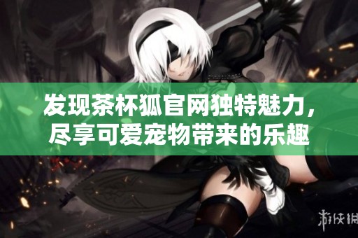 发现茶杯狐官网独特魅力，尽享可爱宠物带来的乐趣